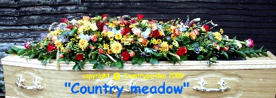 A Country Meadow C S 28