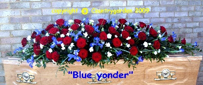 Blue Yonder C S21