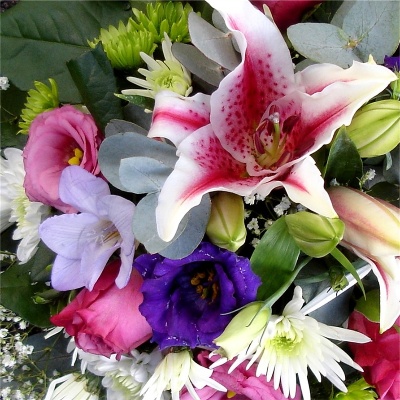 Scented Posy.R P 59