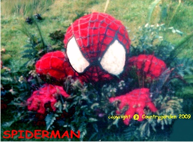 Spiderman B T 5