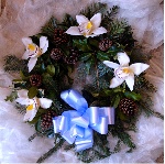Xmas Wreath  X W2