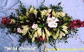 Wild Orchid D E 16