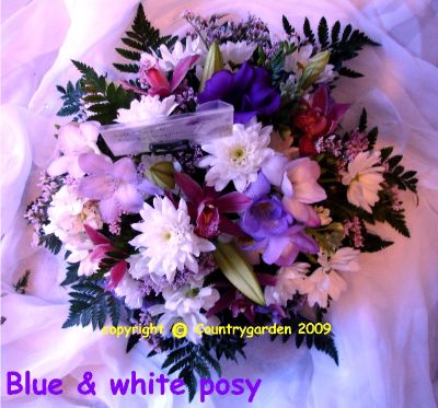 Blue & White Posy OP2