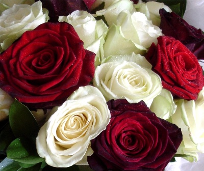 Brides Bouquet WED 7