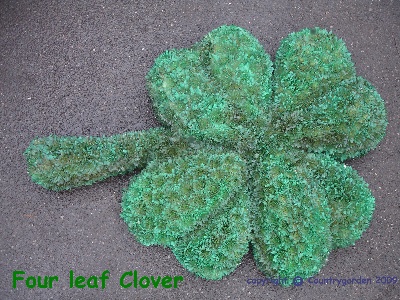 Clover B T3