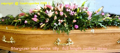 Stargazer&Nerine lilly full length casket spray  C S 8