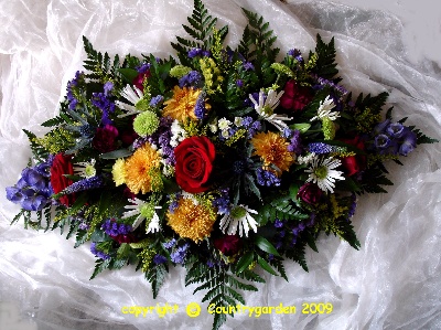 Red Yellow And Blue DE34