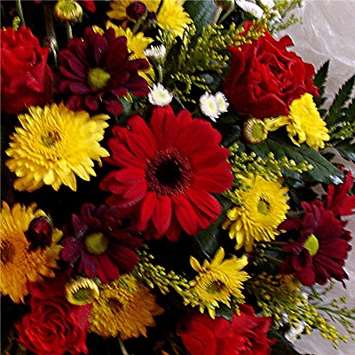 Red and gold posy R P22