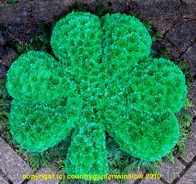 Large Shamrock. B T 29