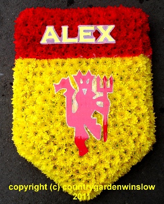 A shield For Alex. B T 45