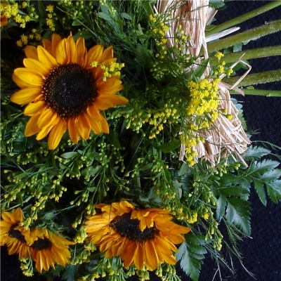 Simply Sunflowers. F B 28