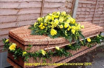 Sunshine. C S 74
