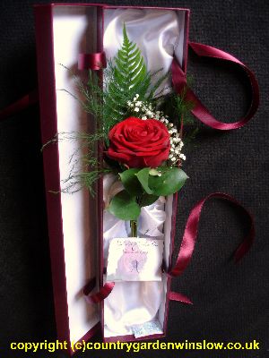 Valentines Boxed Rose VAL1