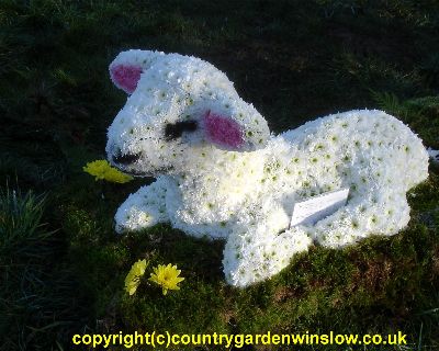 A Spring Lamb BT68