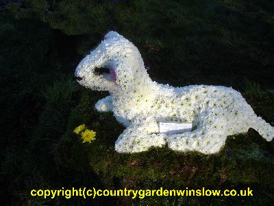 A Spring Lamb BT68