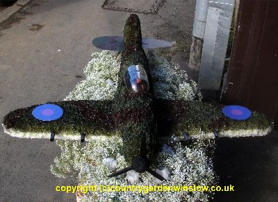 A  Floral Spitfire BT 71