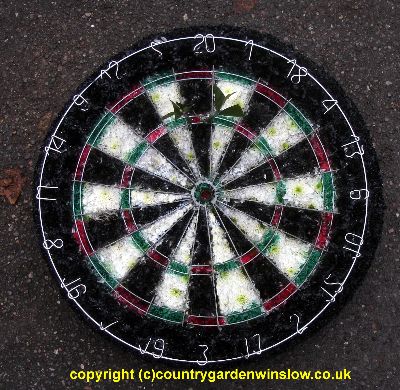 Dart board BT95