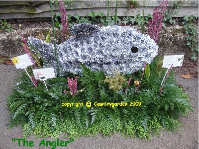 The Angler B T 6