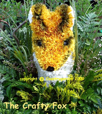 Crafty Fox B T 7