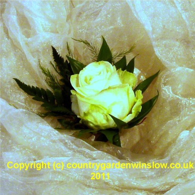 Avalanche Rose Buttonhole Buy Online Or Call 01296 714211 Avalanche Rose Buttonhole Buy Online Or Call 01296 714211