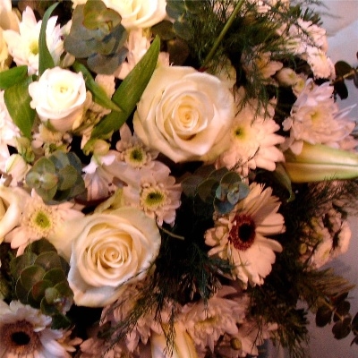 White Posy