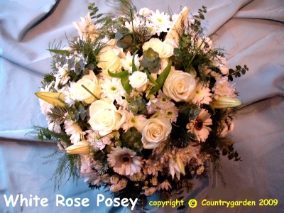 White Posy