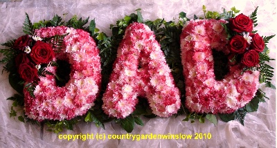 Raspberry Pavlova. N L 26