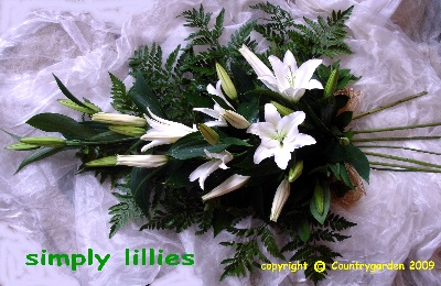 Simply lilliesF B 11