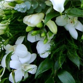 Two Calla lilly boquets