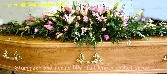 Stargazer&Nerine lilly full length casket spray  C S 8