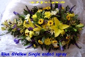 Blue & Yellow Single ended spray S E 5