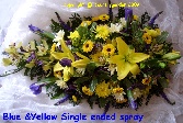 Blue & Yellow Single ended spray S E 5