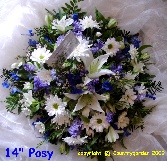 Blue and Cream posy R P 6