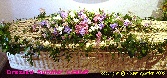 A Cottage  Garden  casket C S 15