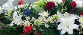 Low Level Casket top C S 17