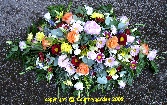 Colourful Double Ended Spray D E 88