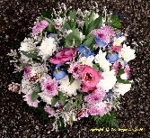 SMALL POSY R P 12