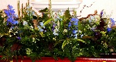 Bluebell wood C S 23