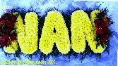 Nan Frame  N L 19