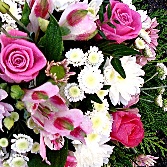 Pink and white posy R P33