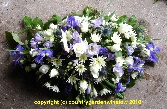 Blue Springtime. D E 4