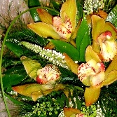 Simply Orchids.Brides Bouquet.