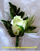 Simple Avalanche rose buttonhole