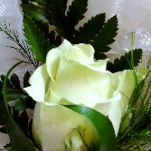 Simple Avalanche rose buttonhole