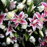 Stargazer Casket spray C S62