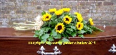 Simply Sunflowers.F B 32
