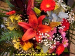 Watermelon burst. AQUA 6 Bouquet of Orange Lillies, Red Carnations and Pink Chrysants