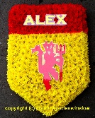 A shield For Alex. B T 45