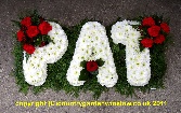 For Pat. N L 48