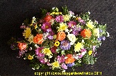 Spring Melody. D E 72